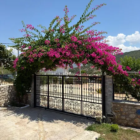 Angela Apartman Ksamil